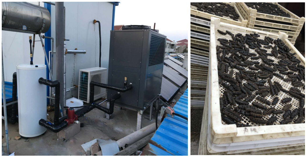 海參熱泵烘干房安裝設計圖 海參熱泵烘干房安裝設計圖