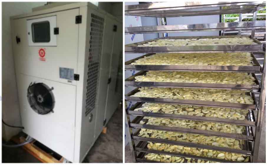 如何防止烘干設備烘干蘋果變黑 如何防止烘干設備烘干蘋果變黑