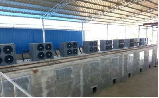 海產(chǎn)品烘干機選擇和價格 海產(chǎn)品烘干機選擇和價格