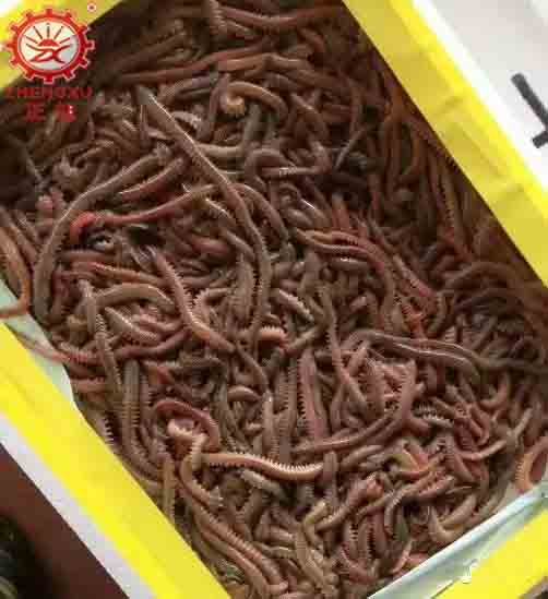 海產(chǎn)品烘干機廠家和烘干設備價格 海產(chǎn)品烘干機廠家和烘干設備價格