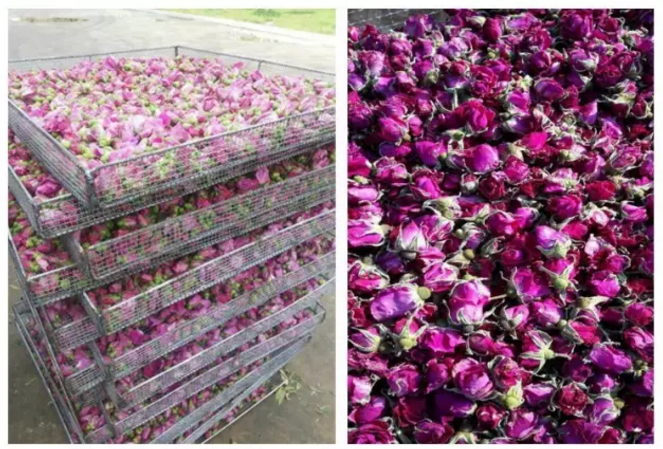 熱泵烘干前期溫度上升緩慢怎么辦 熱泵烘干前期溫度上升緩慢怎么辦