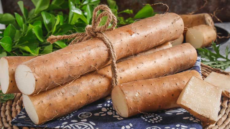 正旭空氣能熱泵烘干機淮山烘干機 正旭空氣能熱泵烘干機淮山烘干機