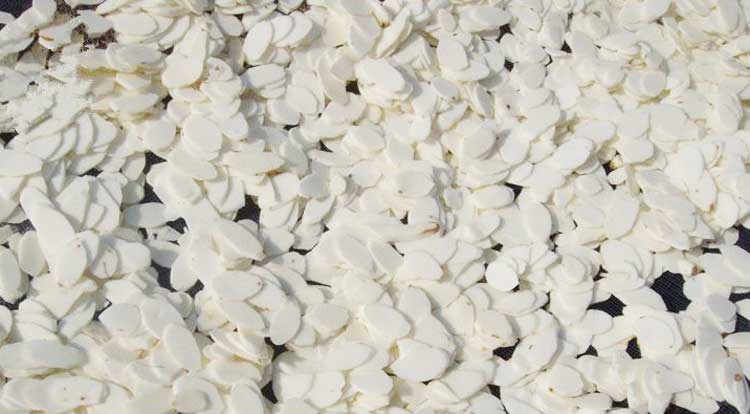 正旭空氣能熱泵烘干機淮山烘干機淮山烘干前 正旭空氣能熱泵烘干機淮山烘干機淮山烘干前